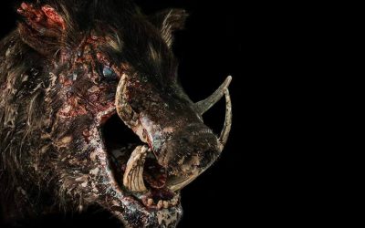 Chris Sun’s “BOAR” sees Monster Fest premiere, new trailer & poster; more fest info released
