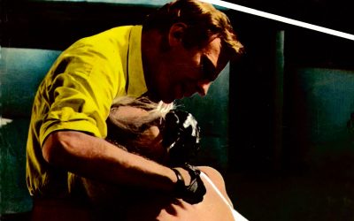 Exclusive: “DEATH LAID AN EGG” to get wide Blu-ray/DVD release this winter