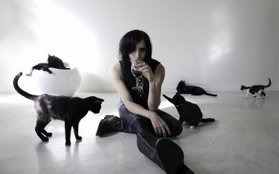 Little Deaths: Chris Corner of IAMX and Unfall submits to our Sinister Seven Q&A