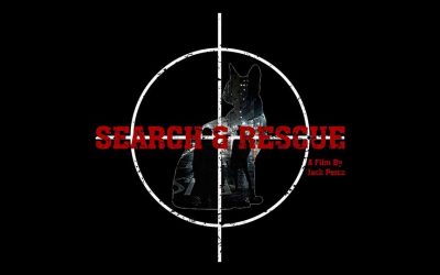Exclusive quotes, plus trailer: Help save the animals, genre-style with “SEARCH & RESCUE” movie project