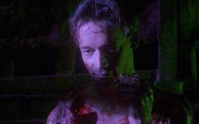 Severin’s “SKINNER” Blu-ray sees wider release; details, art, trailer