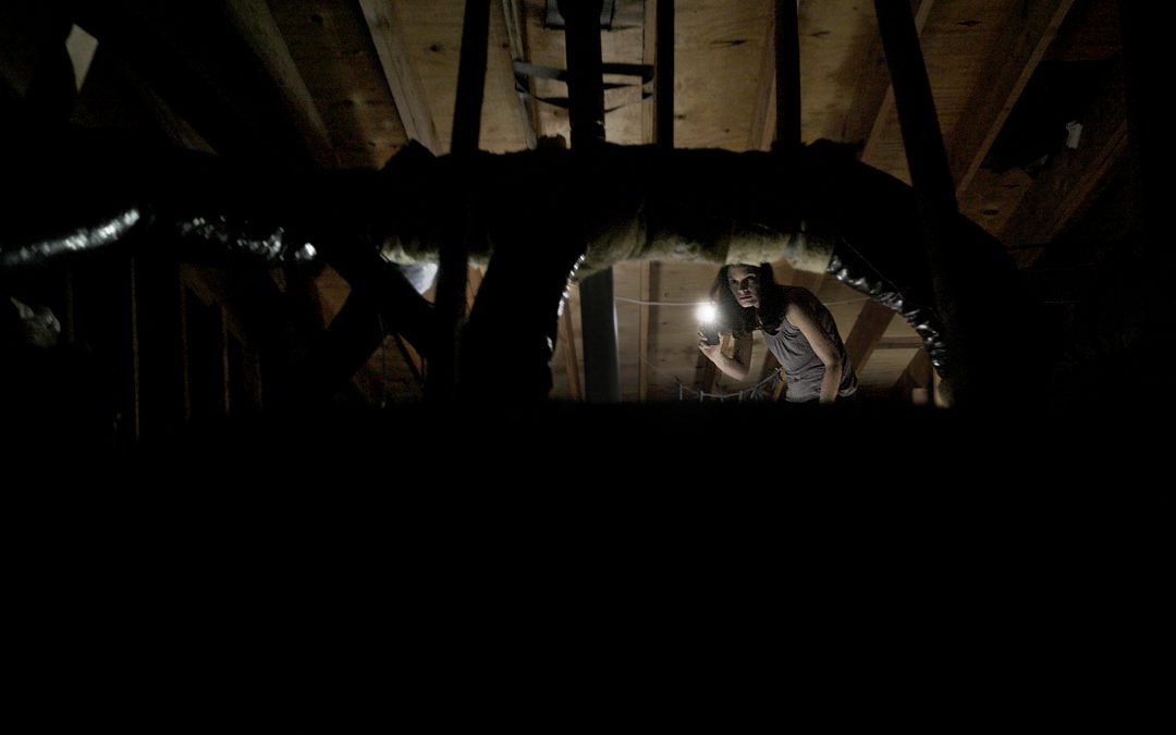 Exclusive Blu-ray bonus clip from “ECHOES OF FEAR” takes you into the haunted house