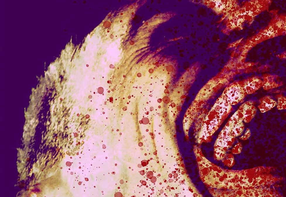 Book Review: The wild, apocalyptic horror of “CRAZYTIMES” is thrilling…and weirdly prescient