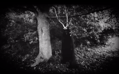 Music Video Premiere; “Witch Lich” By VAZUM