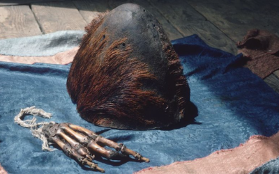 Bigfoot Horror Doc “SASQUATCH AMONG THE WILDMEN” Coming Soon to DVD & VOD