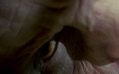 Screenwriter Dennis Paoli On The Conception & Legacy of “Castle Freak”