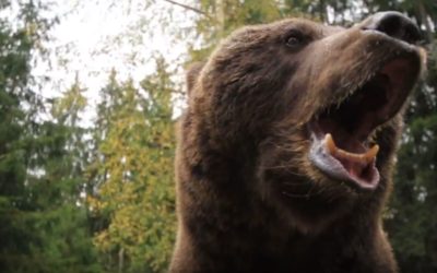 “GRIZZLY II,” with Clooney, Dern and Sheen, finally roaring to release; trailer & poster