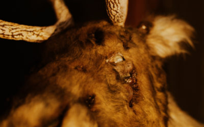 Exclusive effects photos: Santa’s reindeer gone bad in “13 SLAYS TILL X-MAS”
