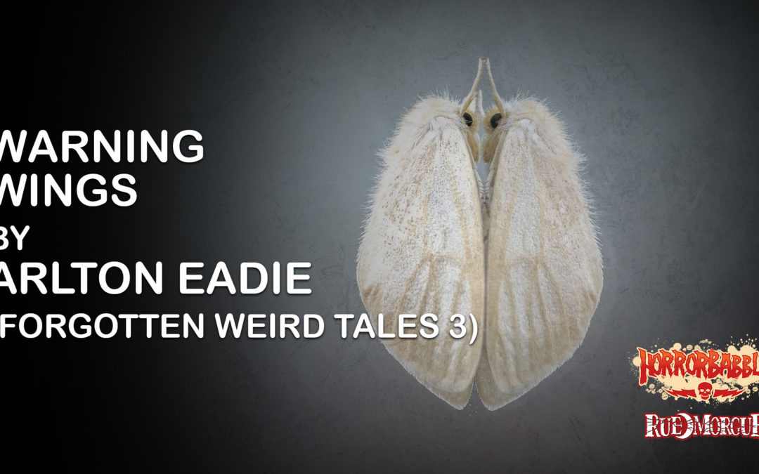 HorrorBabble Presents Arlton Eadie’s “Warning Wings”