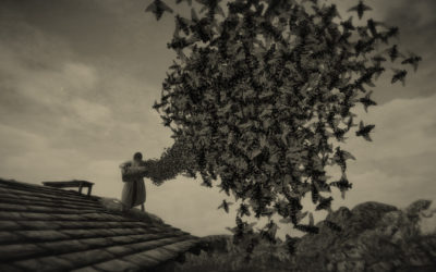 Hidden Fields and MWM Interactive bring “MUNDAUN” to the Nintendo Switch