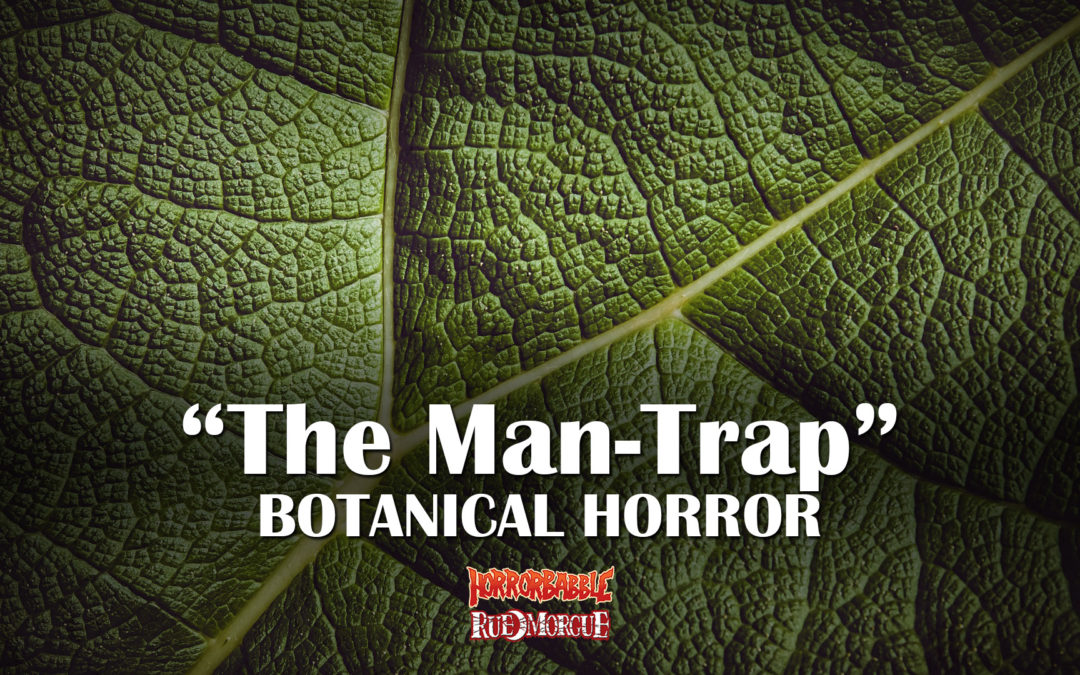 HorrorBabble’s Botanical Horror Series Continues with “The Man-Trap”