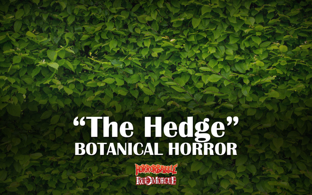 HorrorBabble Concludes Its Botanical Horror Series With “The Hedge”
