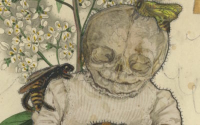 Contemplate Eternity with the Eerie Botanicals of Dan Barry