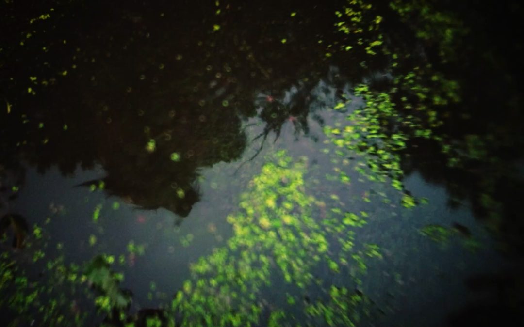 “Skinwalker: The Howl of the Rougarou” Explores Cajun Werewolf Lore