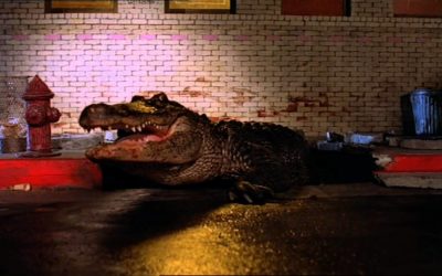 At last! “ALLIGATOR” bites into Blu-ray and 4K UHD next year