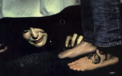 Slash and Scream Through “Hide and Go Shriek”