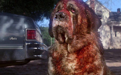 New To VOD & Streaming This Month: “CUJO,” “FINAL DESTINATION”s, “JOE BOB,” & More!