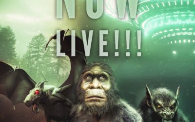 Small Town Monsters Hosts Annual Kickstarter Campaign