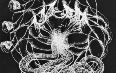 Wesley Cunningham: Home Grown Artist From Montreal Making The Best of The Pandemic