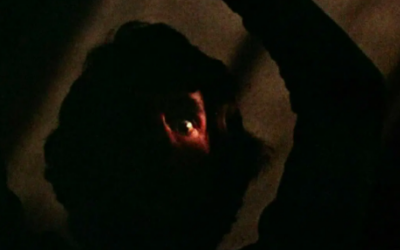 “Black Christmas” Remains Emblematic Of Canadian Horror