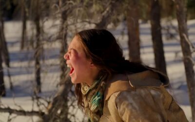 Fantasia ’22 Review: The Frozen World of “POLARIS” Never Quite Warms the Heart