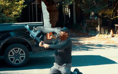 “BIRDEMIC 3: SEA EAGLE” teaser trailer gives you the bird(s) again