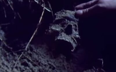 Warnings to the Curious: M. R. James and “A GHOST STORY FOR CHRISTMAS”