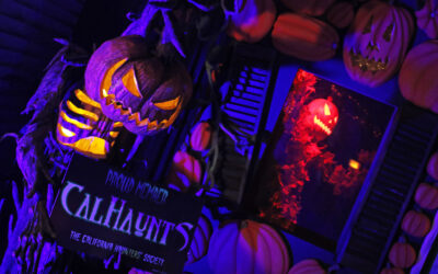 Midsummer Scream Rises Again!