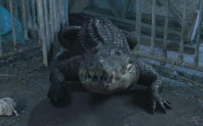 Beware the reptilian wedding crashers of “CROC!”; trailer & poster