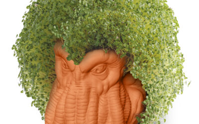 CH-CH-CH-CHIA™! Joseph Enterprises expands its horror collection with the very first Cthulhu CHIA PET®