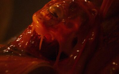 INTERVIEW: Jason Eisener’s Inner Child Kicks Major E.T. Ass With Semi-Autobiographical “KIDS VS ALIENS”