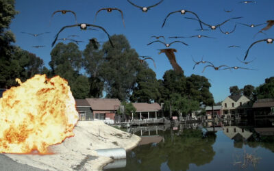 “THE BIRDEMIC TRILOGY” is coming in an extras-packed Severin Films Blu-ray set