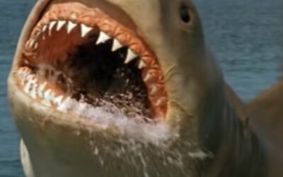 Now on RUE MORGUE TV: Can an Exploding Shark Save “JAWS THE REVENGE?”