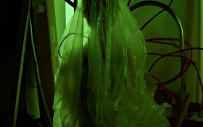 Interview: Writer/Director Franklin Ritch Discusses The Premiere Of His Film “THE ARTIFICE GIRL”