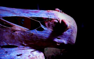 Cicada Horror “THE SOUND OF SUMMER” Out On Blu-Ray June 13