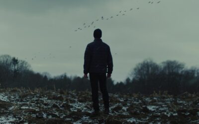 Movie Review: “WOLVES” Explores the Icy Depths of Loneliness
