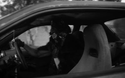 “PSYCHOSIS” To World Premiere August 12 At The ’23 Popcorn Frights Film Festival