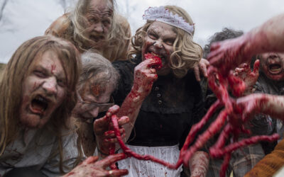 “PROJECT Z” further reveals the dangers of zombie filmmaking