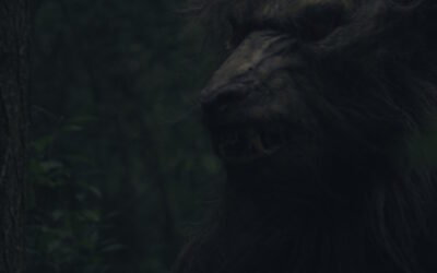 Cryptid Doc “WEREWOLVES UNEARTHED” From 1091/Small Town Monsters Claws Its Way To VOD