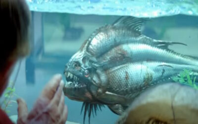 MONDAY MORNING MONSTER MOVIES: Let “PIRANHA 3D” Put The Bite On The Beginning Of Your Week