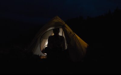 Movie Review: Get on the trail of an ancient curse in the forests of “LOVELY, DARK, AND DEEP”