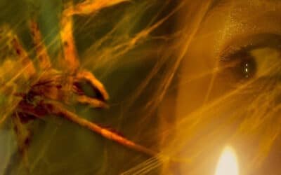 Sneak Peek: Arachnids Attack in “RUE MORGUE #217 Mar/Apr 2024 Issue”!