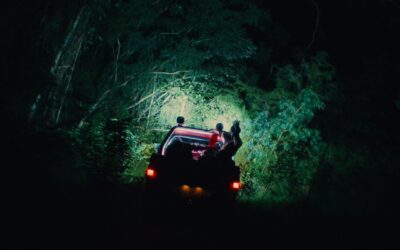 Teaser trailer released for Australian SXSW horror film “BIRDEATER”