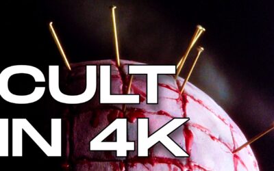 ARROW March VOD Lineup Features Cult Classics, Fashion Thrillers and Vehicular Horror