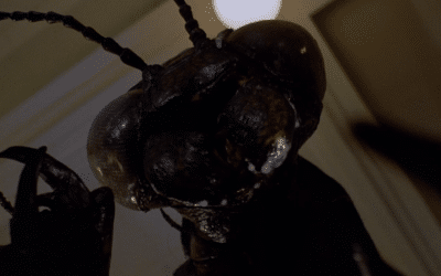 THE REWIND ZONE: INSECTS RUN WILD IN “BLUE MONKEY”