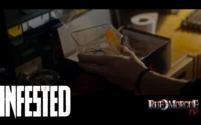 NOW ON RUE MORGUE TV: “INFESTED” director Sébastien Vaniček Talks Spiders, the French Extremity and More