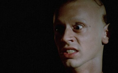 Jeff Lieberman’s “BLUE SUNSHINE” is now on 4K UHD/Blu-ray from Synapse; full details & art