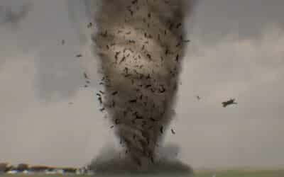 The claws come out in “CATNADO” trailer and poster
