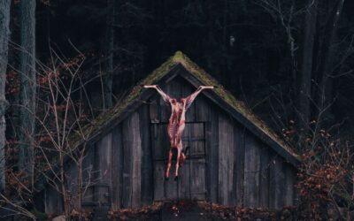 Exclusive Interview: “THE DEVIL’S BATH” creators Veronika Franz and Severin Fiala on psychodrama in period, puking for real and more