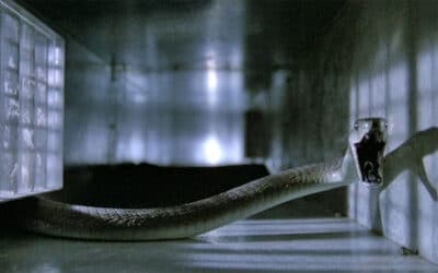 Snake saga “VENOM” slithers onto Blue Underground 4K UHD with lots of new extras